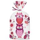 Valentines Owl Treat Bags